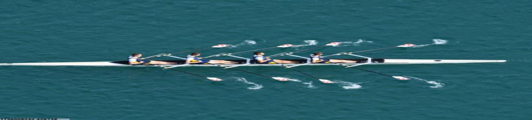 6t体育简介